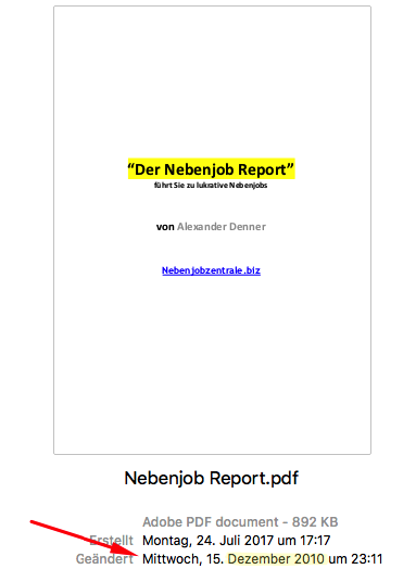 Der Nebenjob Report 2010